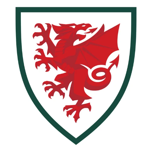 Logo Wales FA